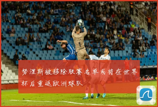努涅斯被移除联赛名单或将在世界杯后重返欧洲球队